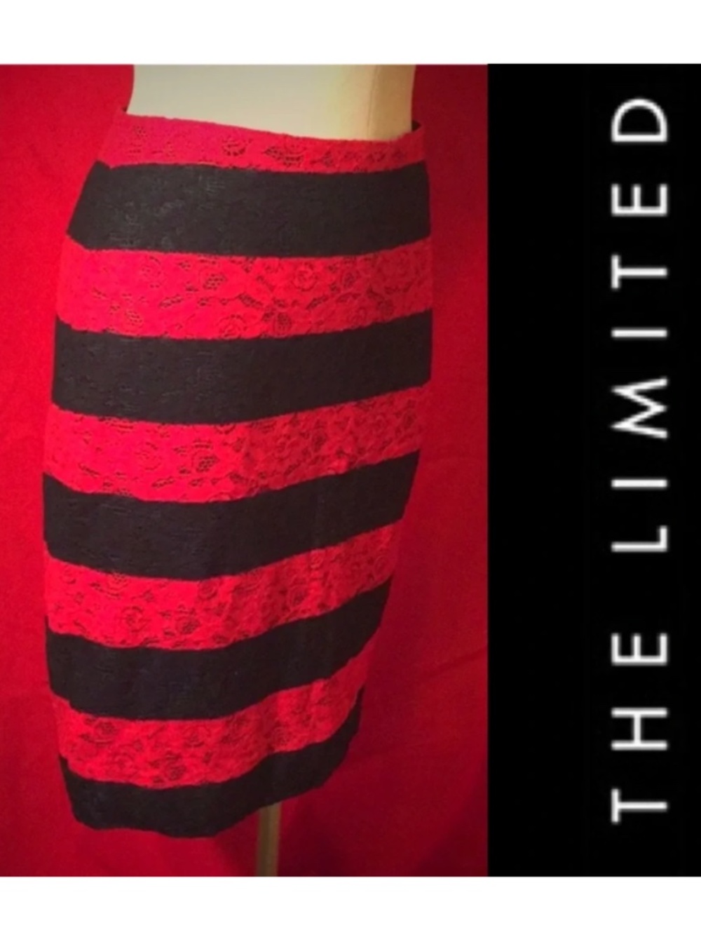The Limited Lace Pencil Skirt Size 6 Petite